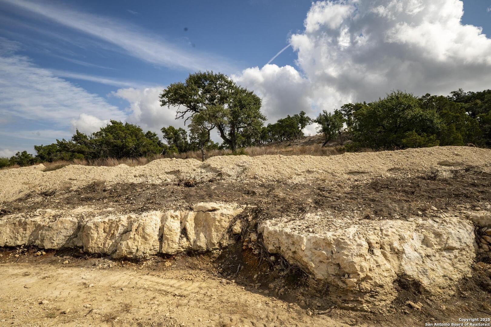322 Mitchell Drive Spring Branch, TX 78070 - Photo 28 of 31 a view of a yard
