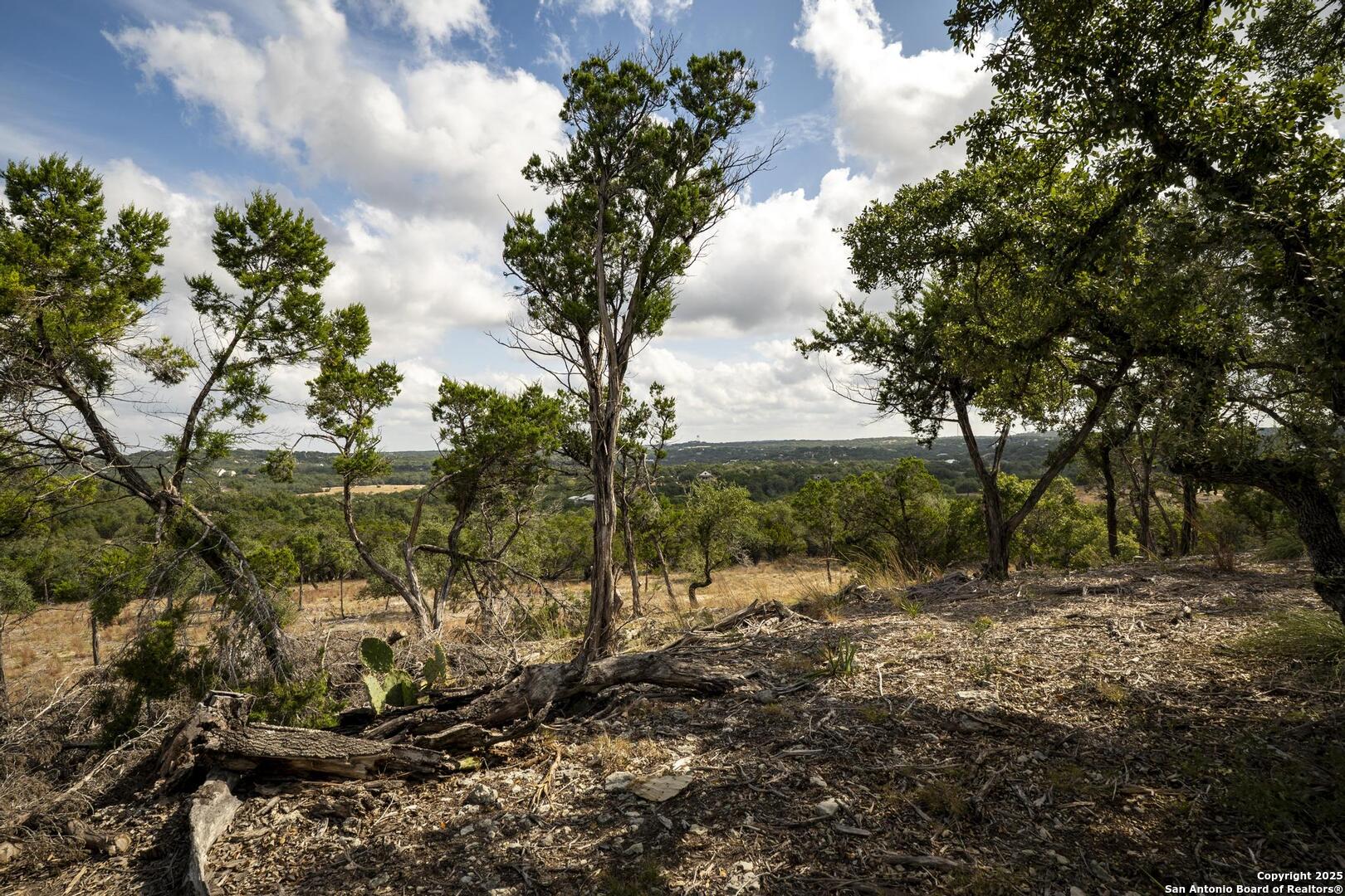 322 Mitchell Drive Spring Branch, TX 78070 - Photo 30 of 31 a view of a forest with trees