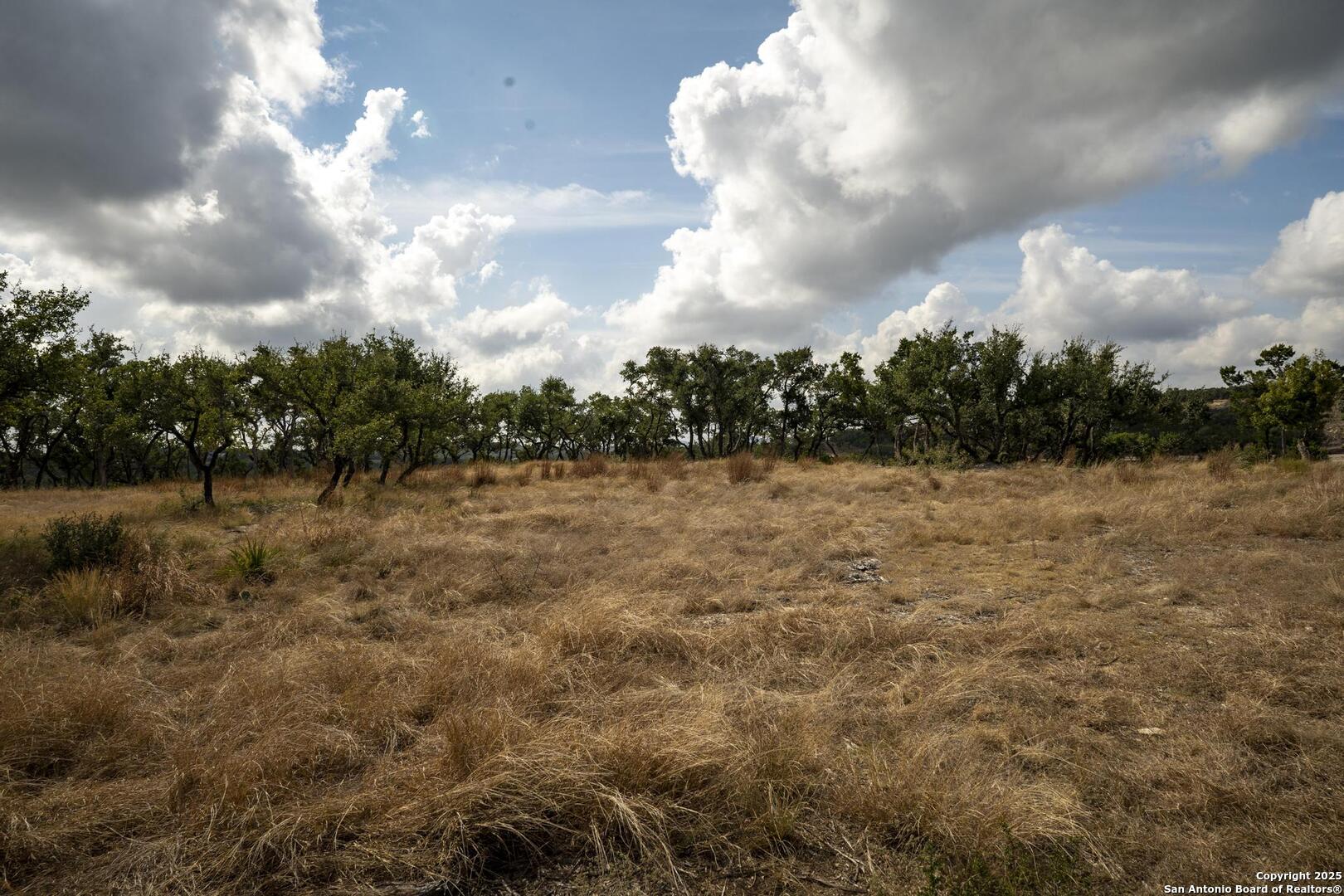 322 Mitchell Drive Spring Branch, TX 78070 - Photo 31 of 31 a view of a lake view