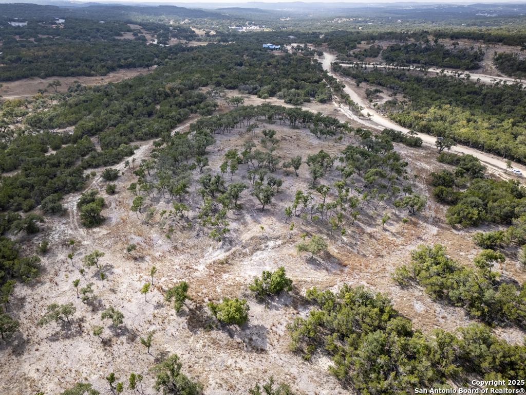 322 Mitchell Drive Spring Branch, TX 78070 - Photo 5 of 31 an aerial view of forest