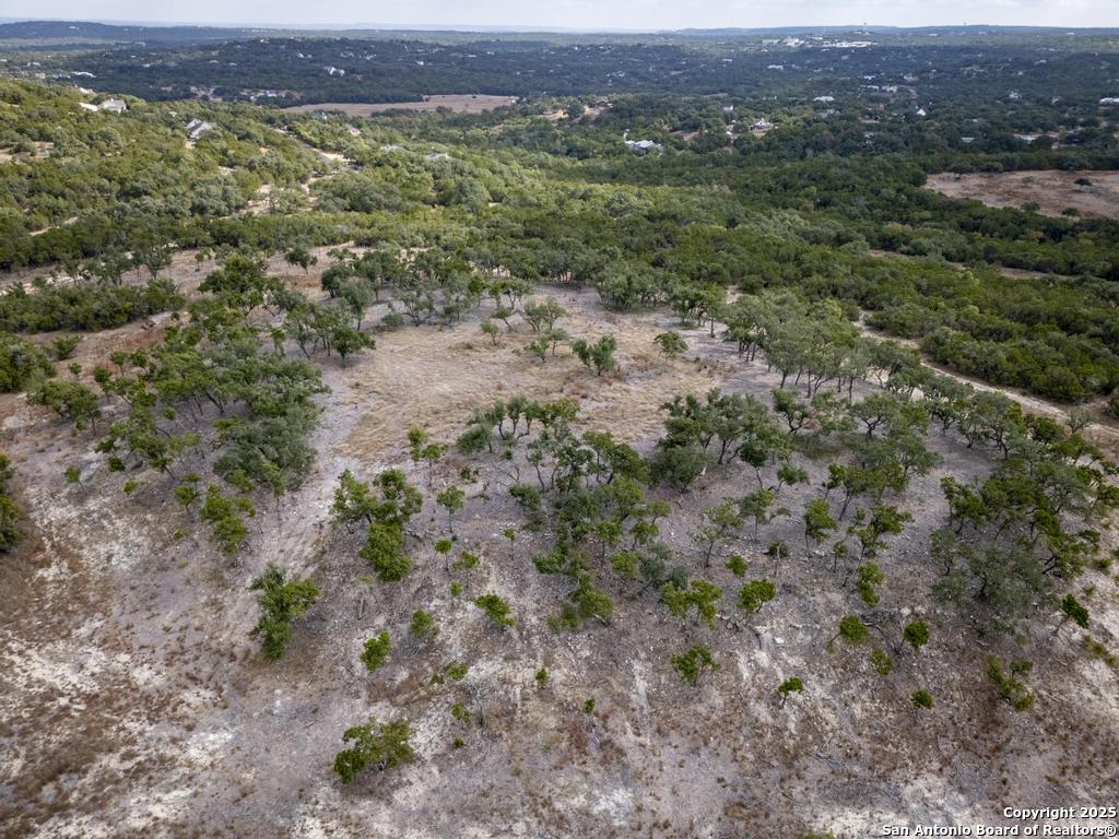 322 Mitchell Drive Spring Branch, TX 78070 - Photo 6 of 31 a view of a large yard with lots of green space