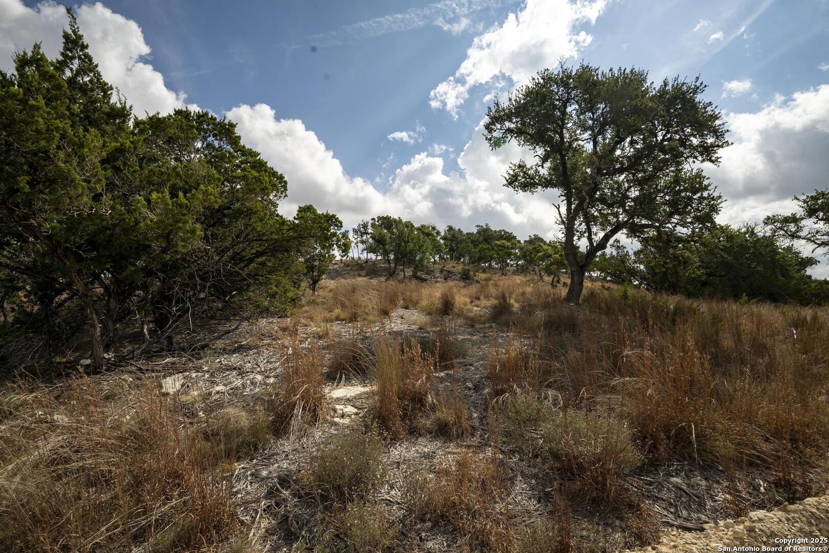322 Mitchell Drive Spring Branch, TX 78070 - Photo 7 of 31 a view of a covered with trees