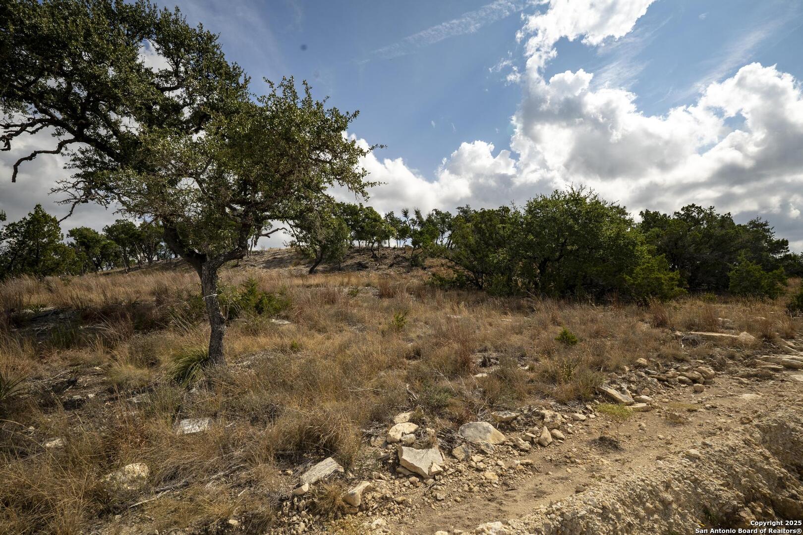 322 Mitchell Drive Spring Branch, TX 78070 - Photo 8 of 31 a view of a bunch of trees
