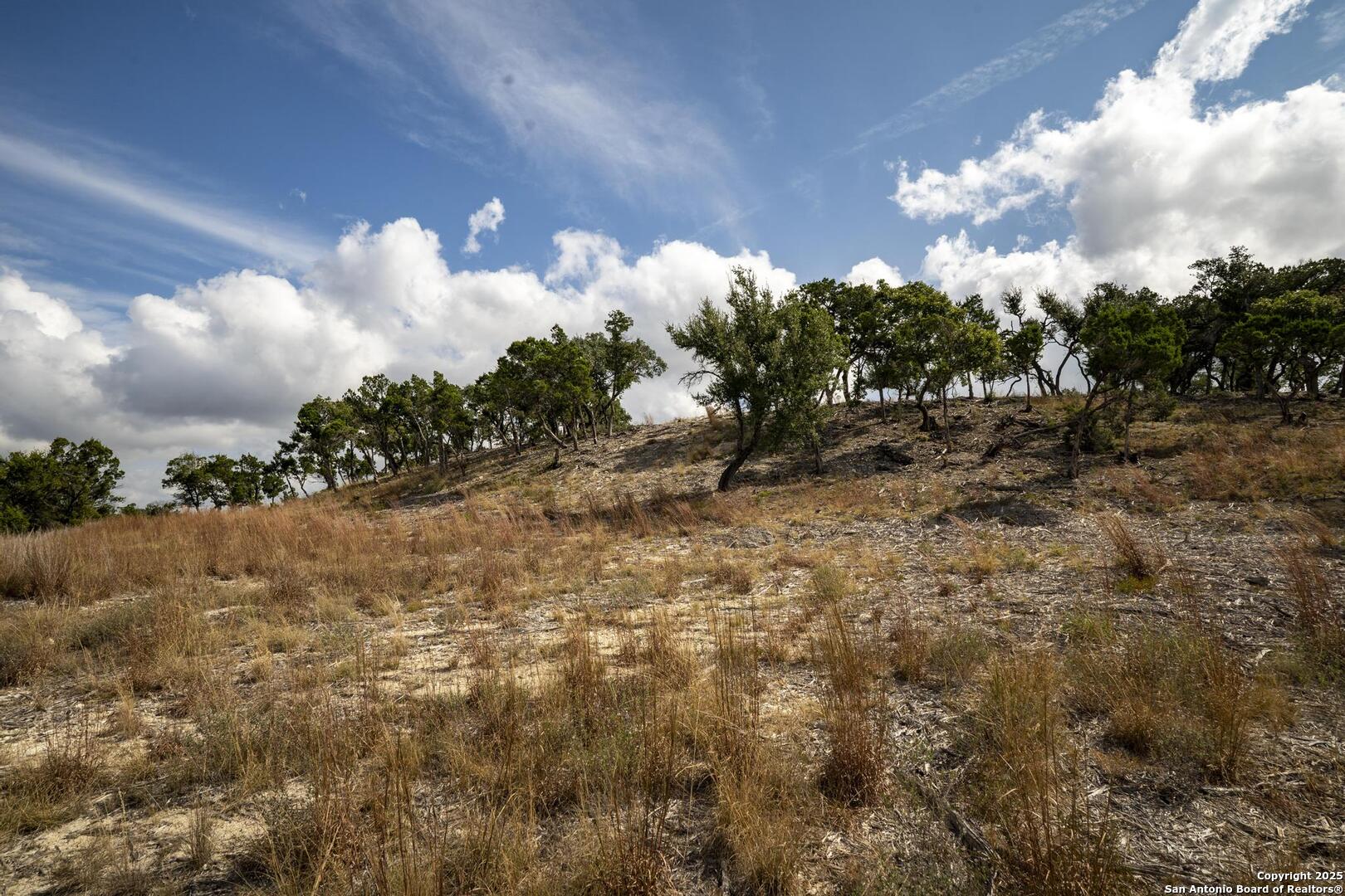 322 Mitchell Drive Spring Branch, TX 78070 - Photo 9 of 31 a view of a bunch of trees