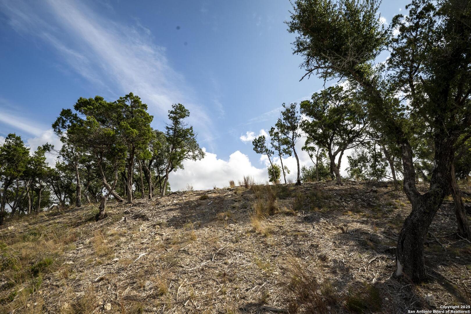 322 Mitchell Drive Spring Branch, TX 78070 - Photo 10 of 31 a view of a yard with plants and trees