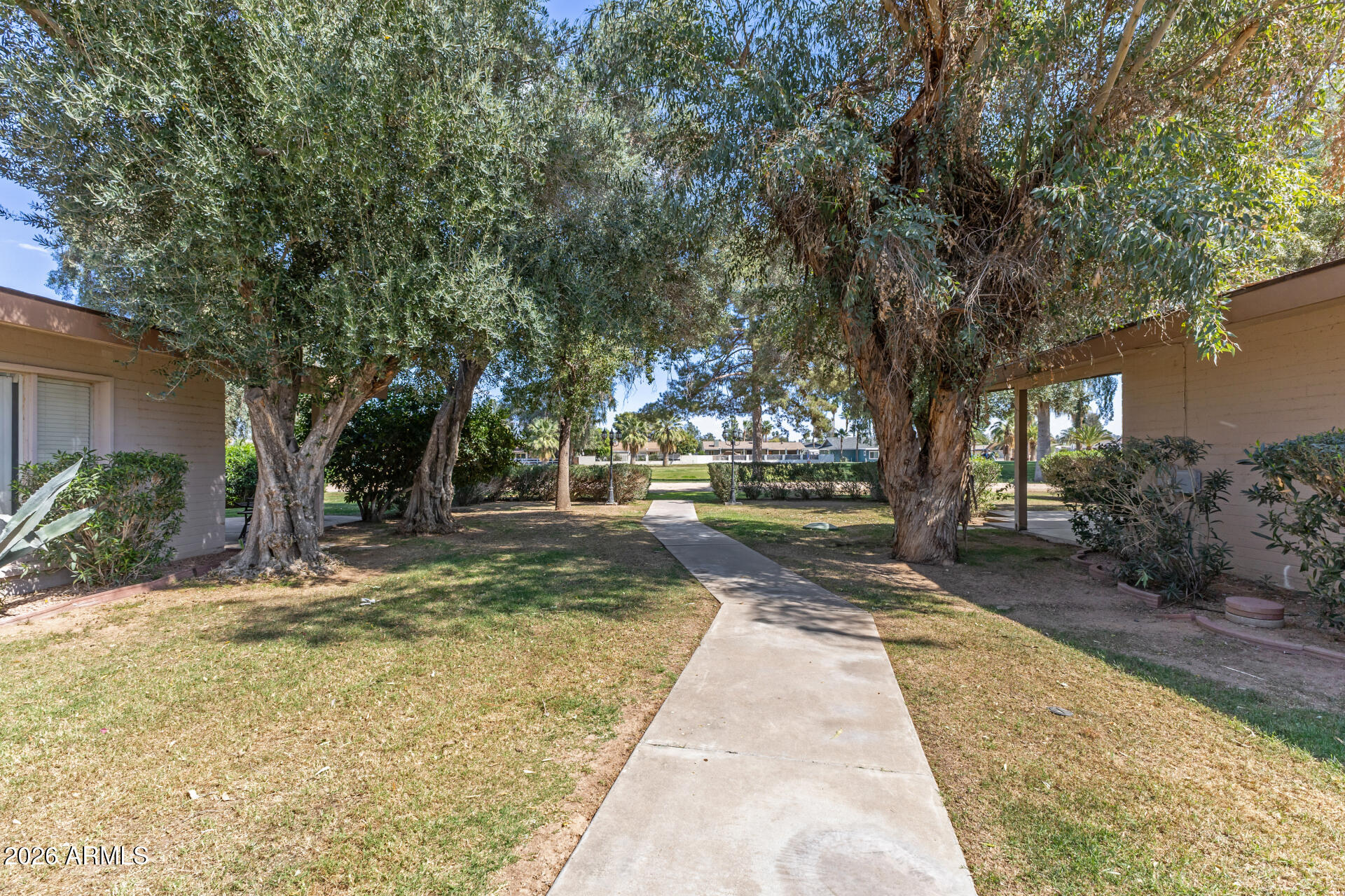 725 South Power Road, Unit 217 Mesa, AZ 85206 - Photo 27 of 29 a view of a yard with plants and trees