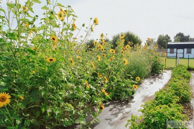 $729,000 | 3910 Wagon Trail Road, Rexburg, ID 83440