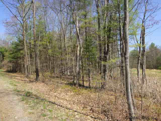 Blanchard Road Wilton, NY 12831 - Photo 2 of 3 Photo 2