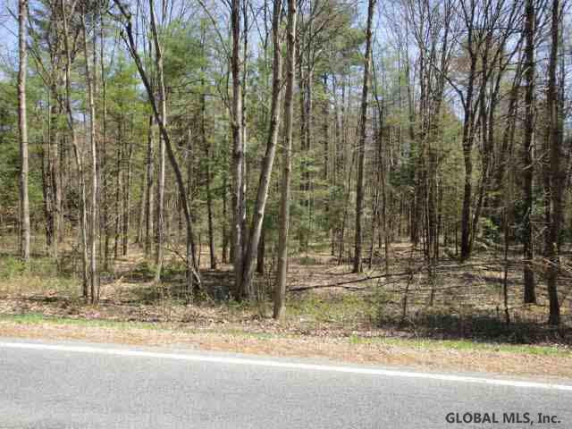 Blanchard Road Wilton, NY 12831 - Photo 3 of 3 Photo 3