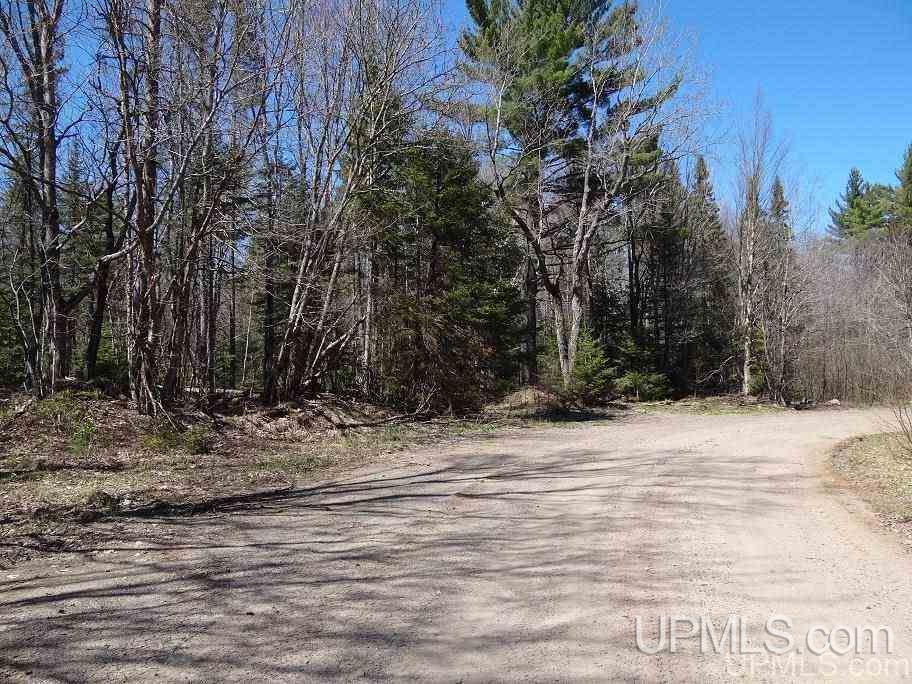 Tbd Celotex Road Michigamme, MI 49946 - Photo 24 of 25
