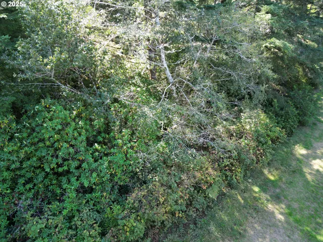 an aerial view of residential house with outdoor space and trees all around