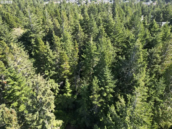 an aerial view of residential house with outdoor space and trees all around