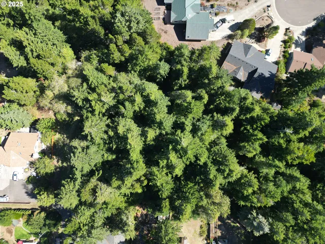 an aerial view of residential house with outdoor space and trees all around
