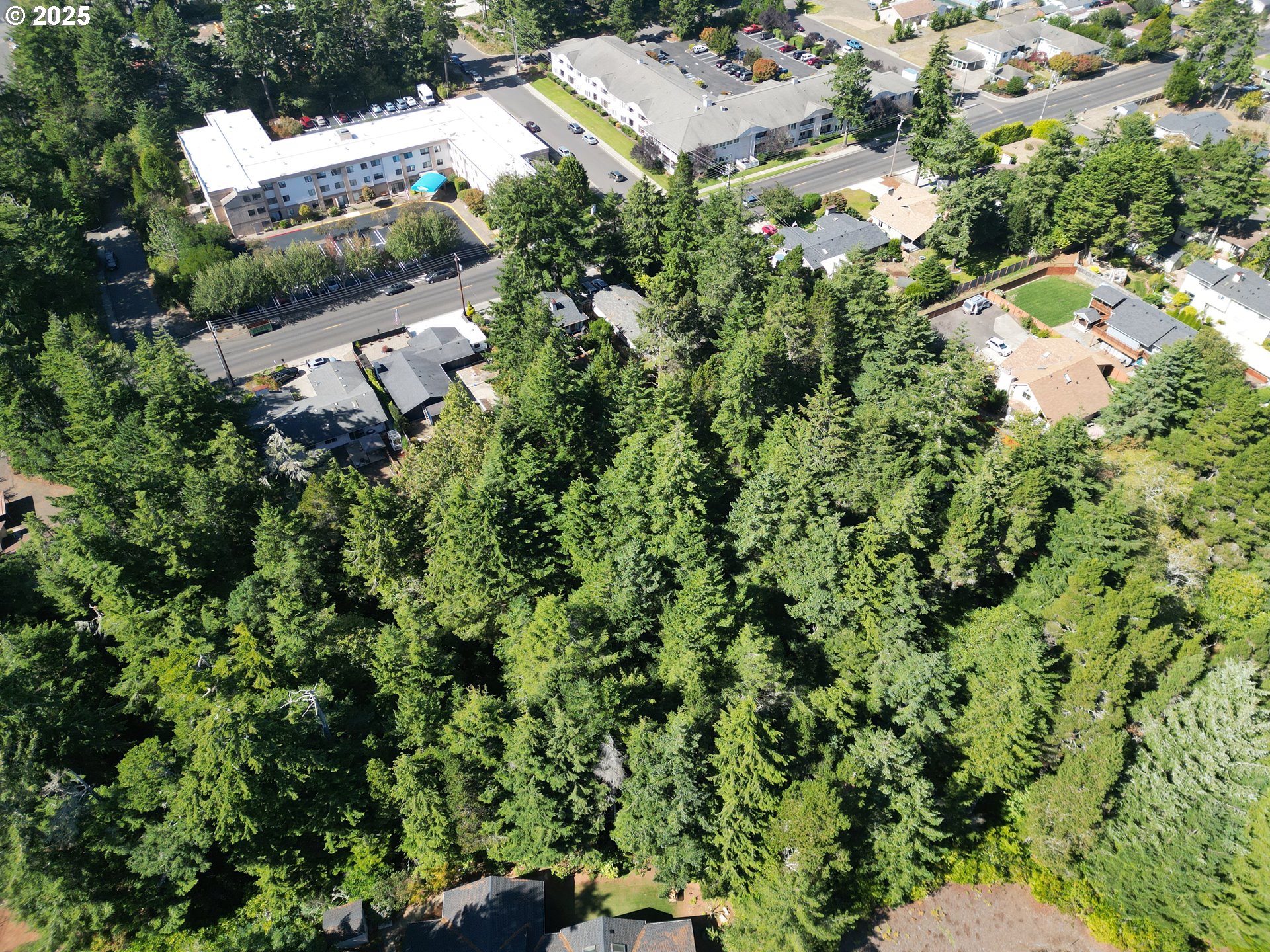 15th And Spruce Florence, OR 97439 - Photo 16 of 18 an aerial view of residential house with outdoor space and trees all around