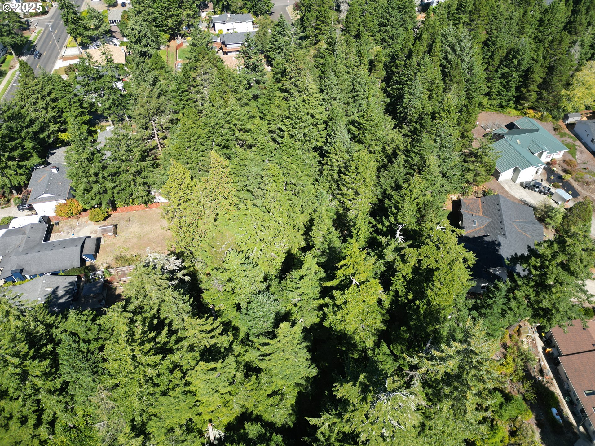 15th And Spruce Florence, OR 97439 - Photo 17 of 18 an aerial view of residential house with outdoor space and trees all around