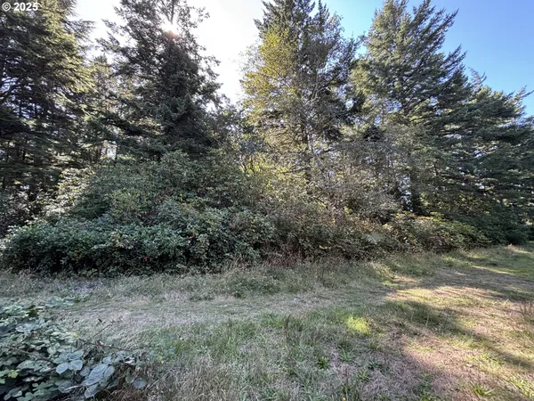 a view of a dry yard