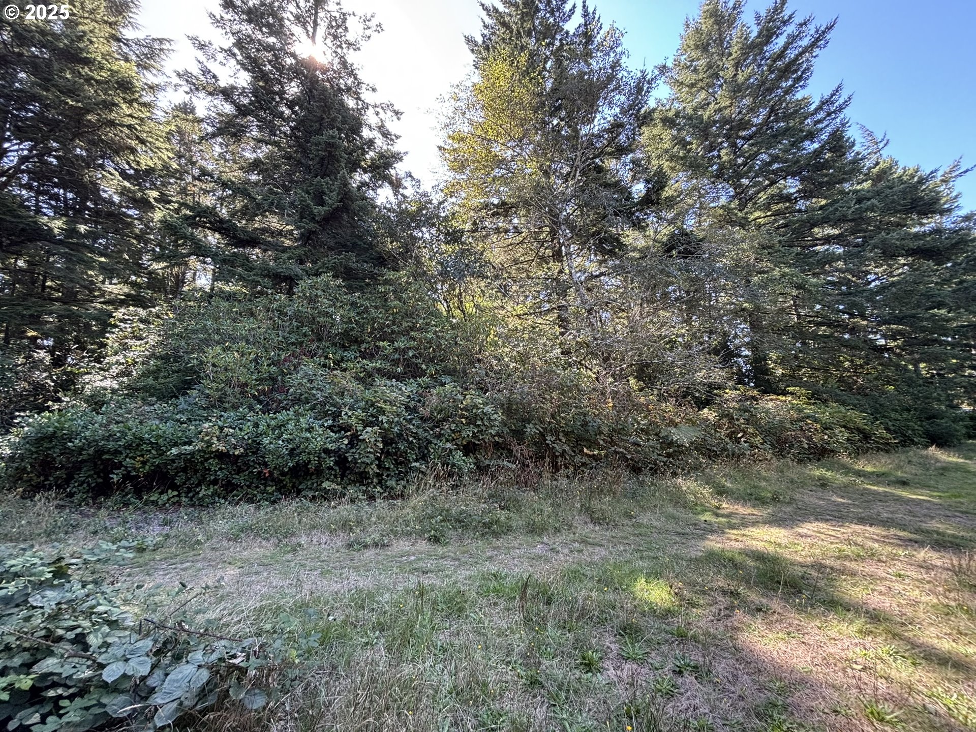 15th And Spruce Florence, OR 97439 - Photo 3 of 18 a view of a dry yard