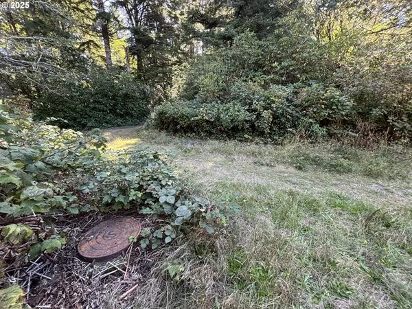a view of an outdoor space and a yard