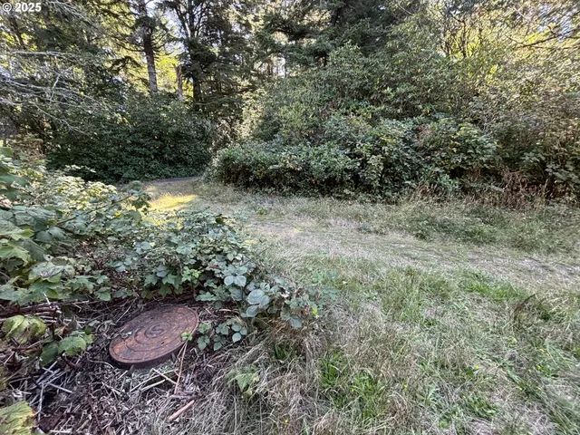 a view of an outdoor space and a yard