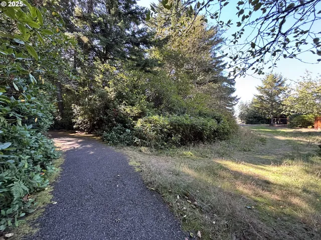 a view of a yard with plants and trees