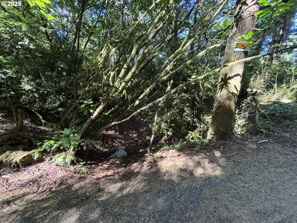 a view of backyard with wooden fence and trees