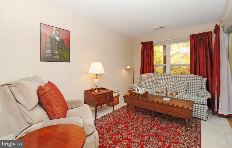 1269 Wild Hawthorn Way Reston, VA 20194 - Photo 23 of 25 Basement