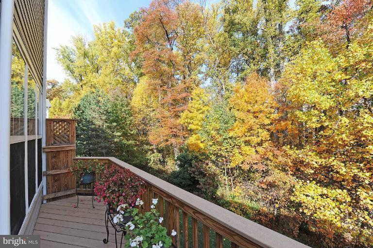 1269 Wild Hawthorn Way Reston, VA 20194 - Photo 24 of 25 View