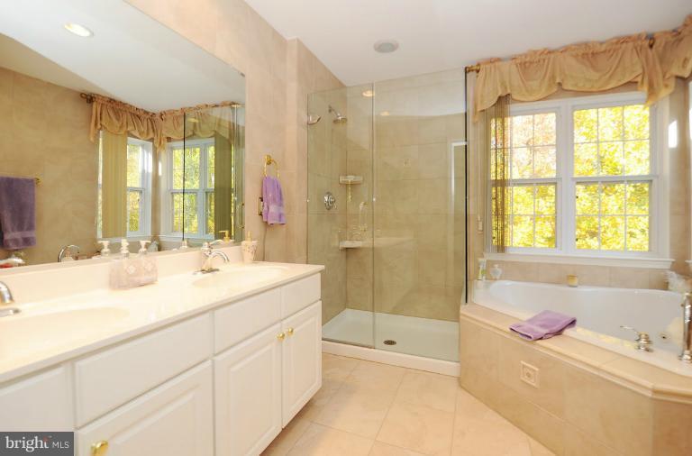1269 Wild Hawthorn Way Reston, VA 20194 - Photo 8 of 25 Bath (Master)