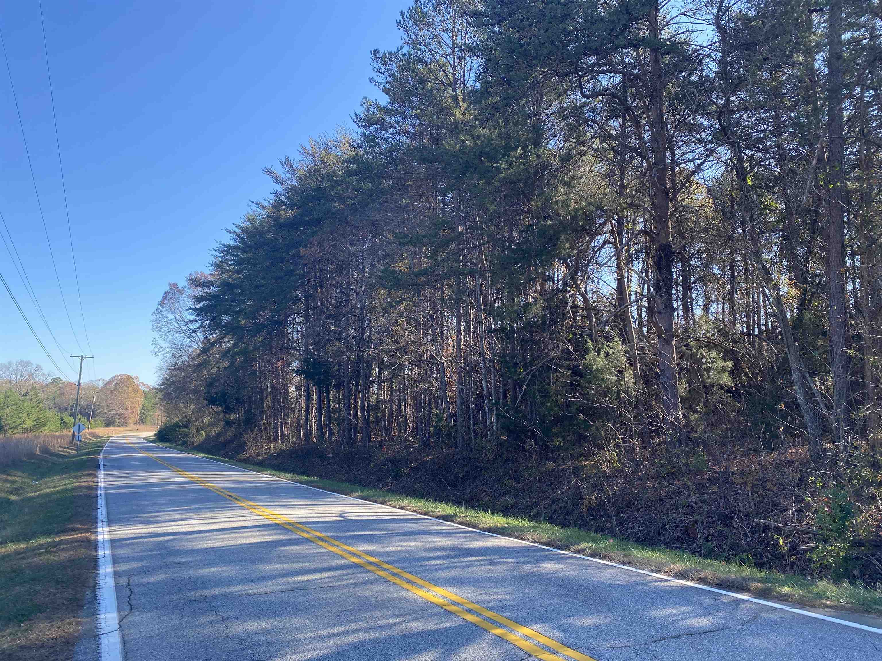 0 Mt Lebanon Road Buffalo, SC 29321 - Photo 1 of 7