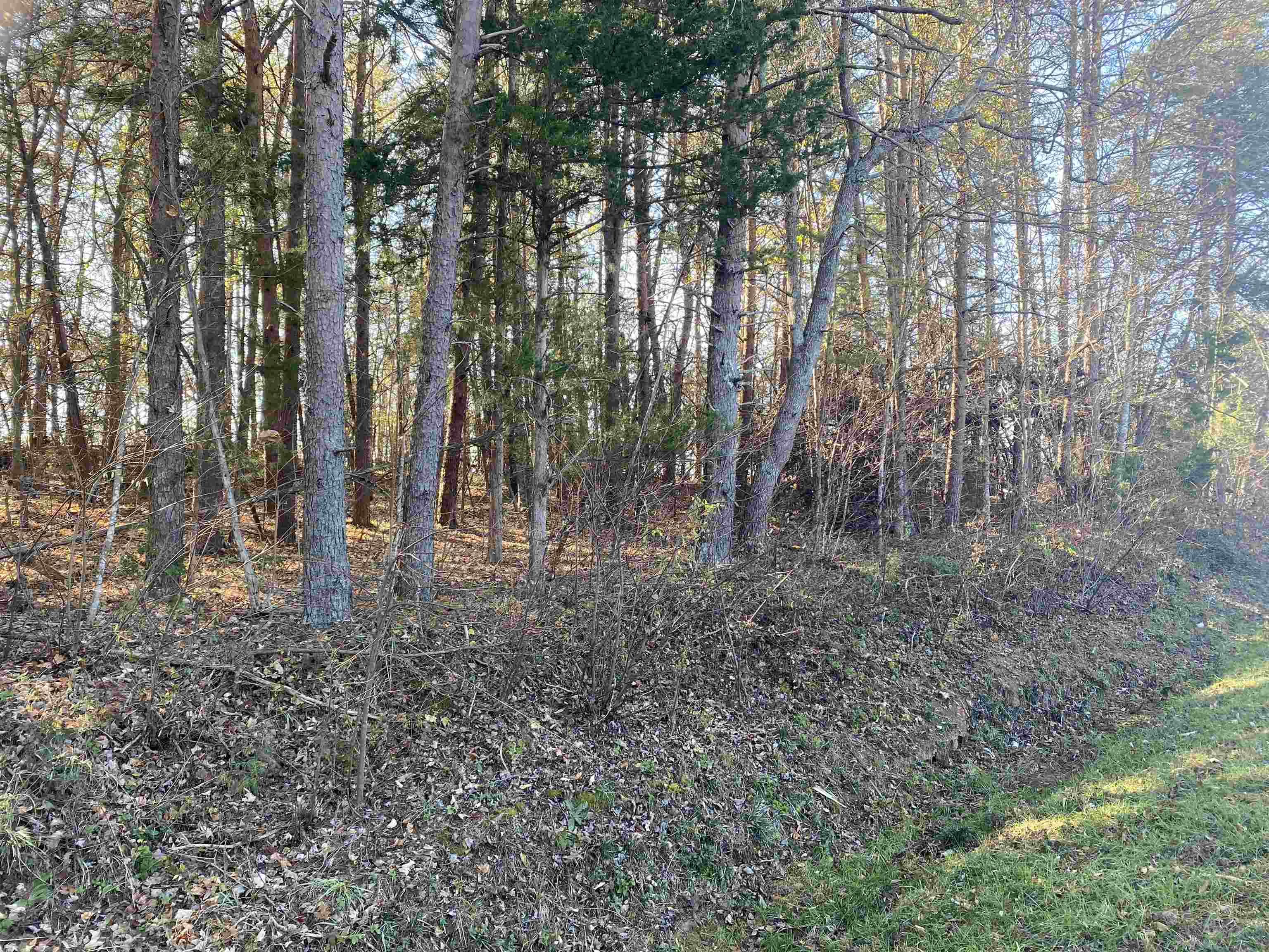 0 Mt Lebanon Road Buffalo, SC 29321 - Photo 6 of 7