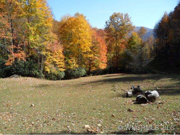 0 Mitchell Cove Road Maggie Valley, NC 28751 - Photo 1 of 8 Gallery Image 1