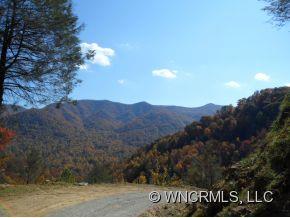 0 Mitchell Cove Road Maggie Valley, NC 28751 - Photo 2 of 8 Gallery Image 2