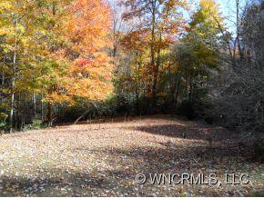 0 Mitchell Cove Road Maggie Valley, NC 28751 - Photo 6 of 8 Gallery Image 6