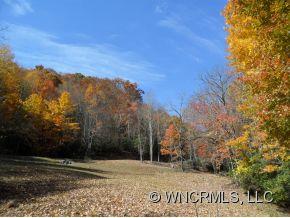 0 Mitchell Cove Road Maggie Valley, NC 28751 - Photo 7 of 8 Gallery Image 7