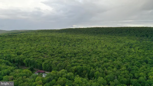 a view of a big yard with lots of green space and deers