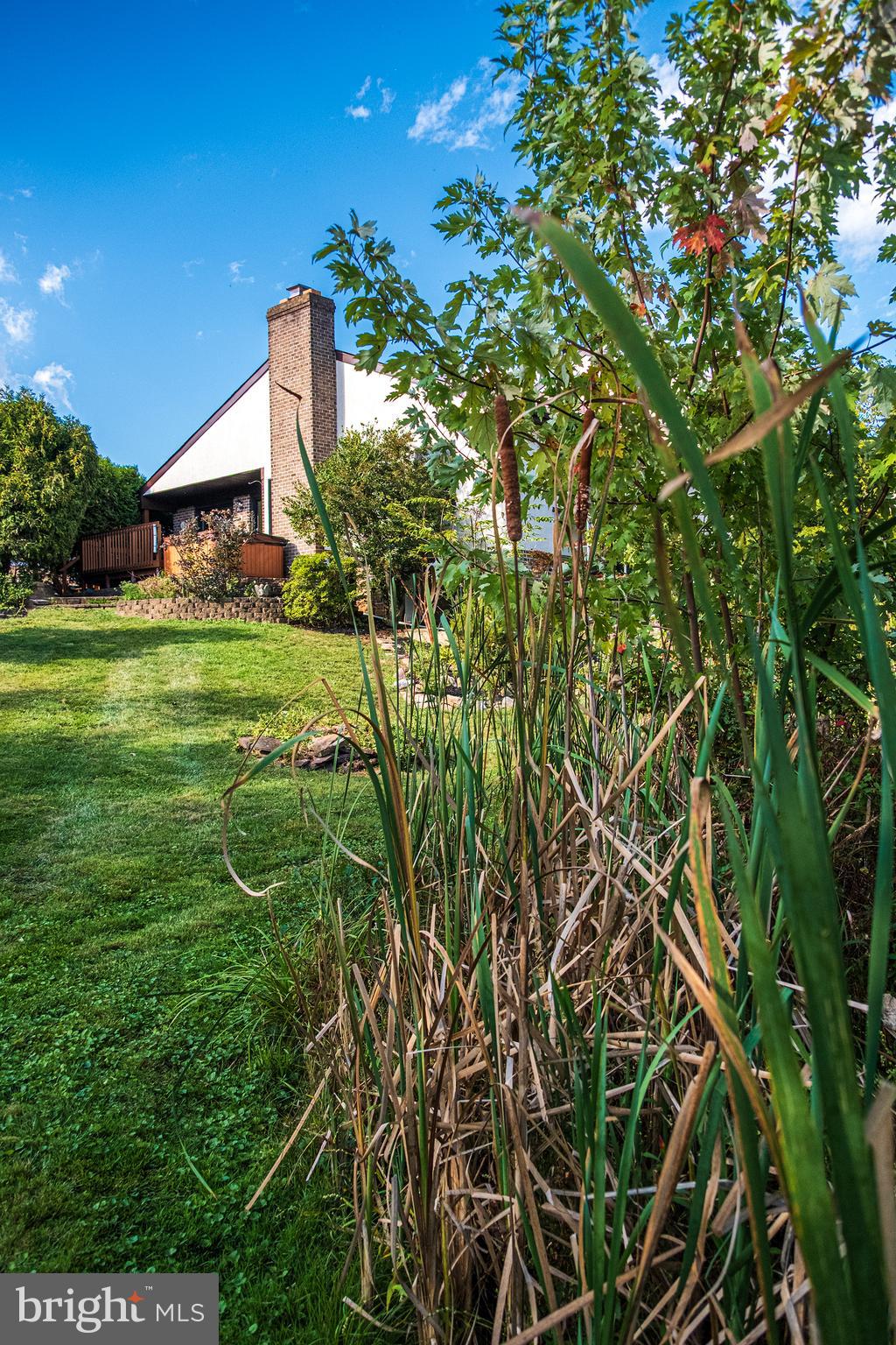 3103 Adams Way Ambler, PA 19002 - Photo 51 of 55