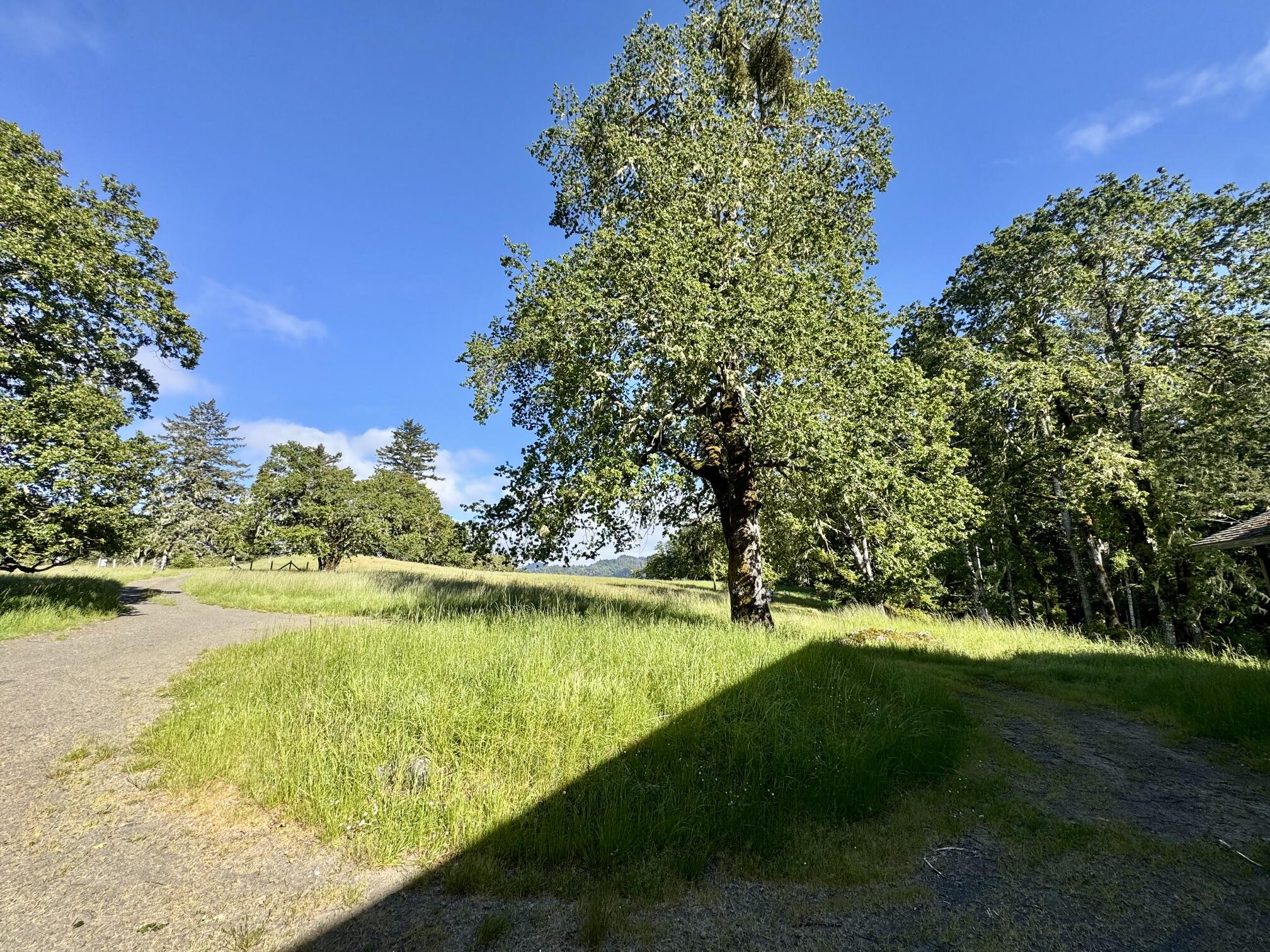 1460 Tim Mullen Road Kneeland, CA 95549 - Photo 87 of 93