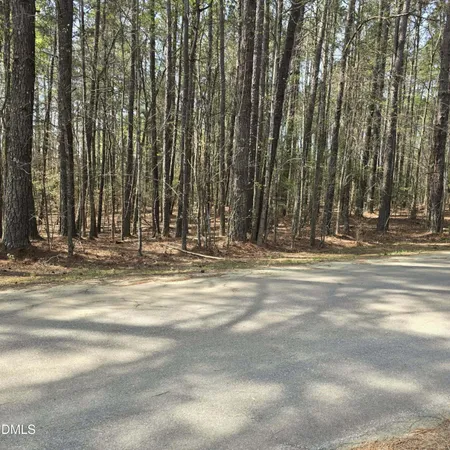 $60,000 | 133 Sequoia Drive, Louisburg, NC 27549