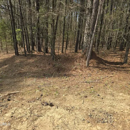 $60,000 | 133 Sequoia Drive, Louisburg, NC 27549