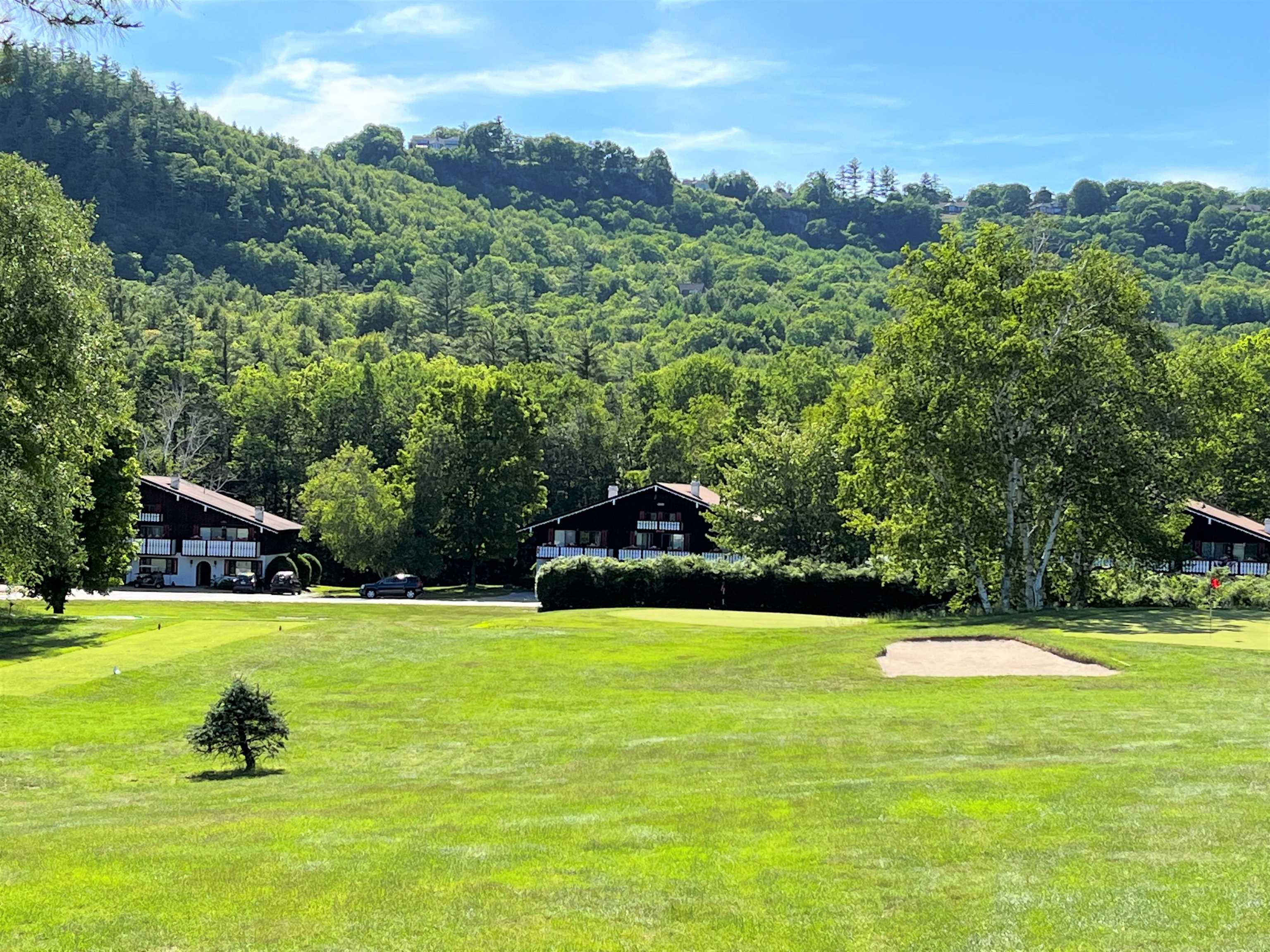 46 Linderhof Golf Course Road, Unit D12 Bartlett, NH 03838 - Photo 1 of 40 Gallery Image 1