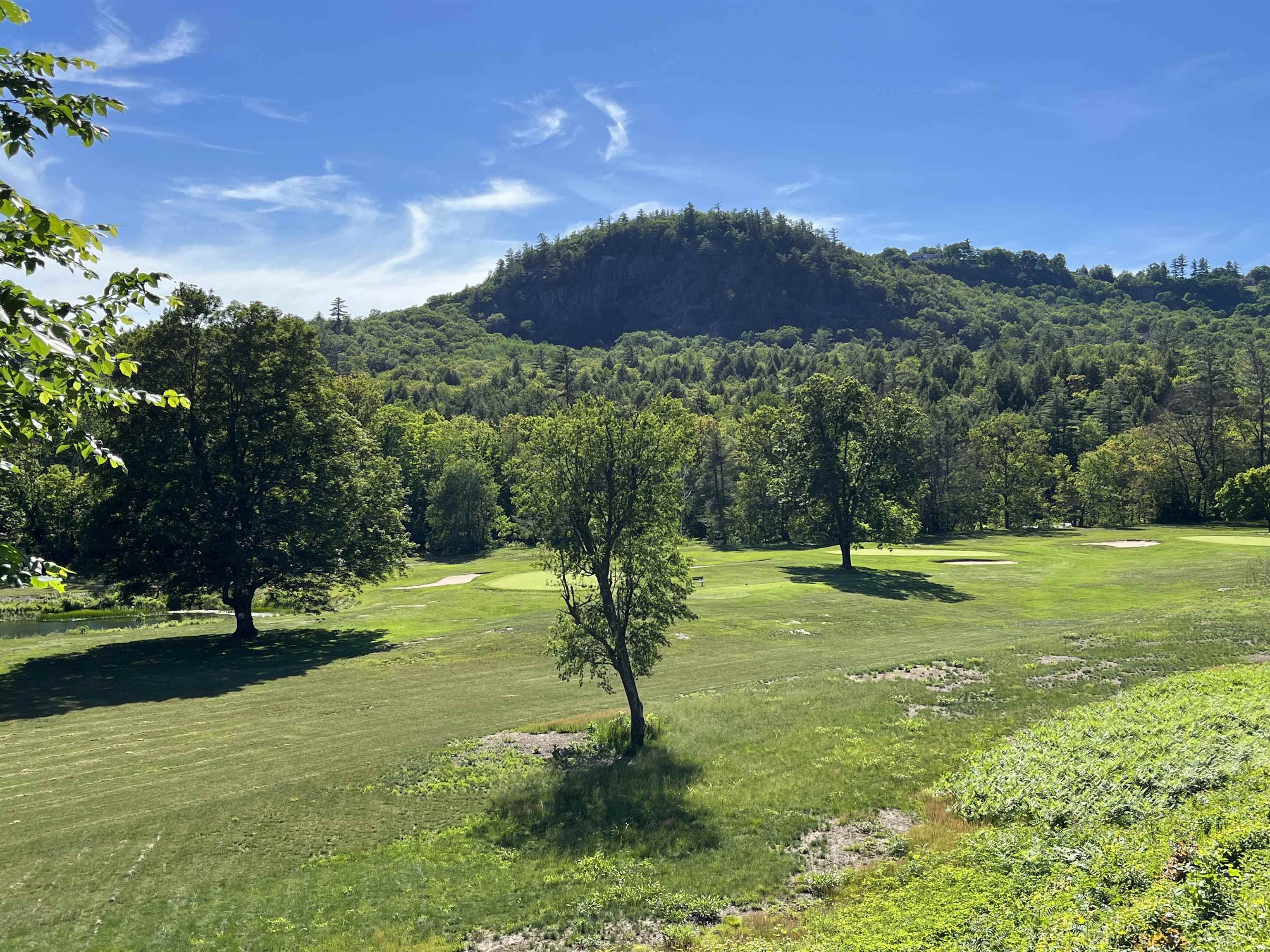 46 Linderhof Golf Course Road, Unit D12 Bartlett, NH 03838 - Photo 23 of 40 Gallery Image 23