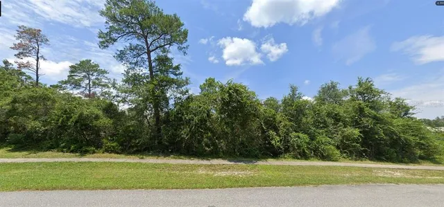 a view of a big yard