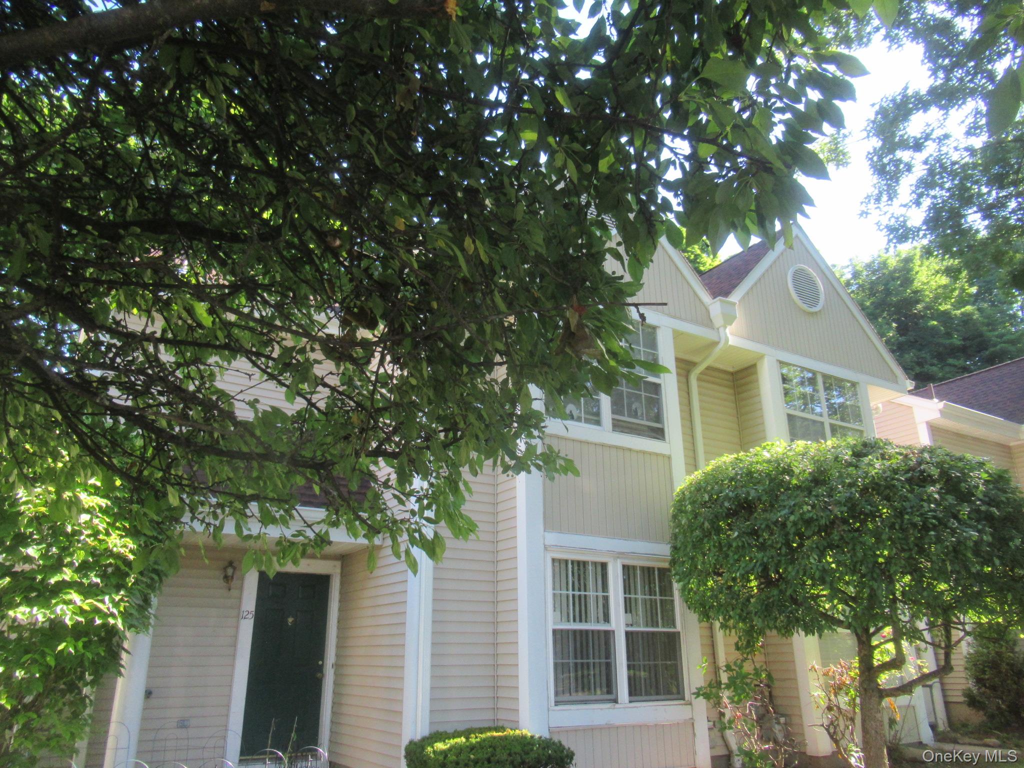127 Creekside Circle Spring Valley, NY 10977 - Photo 4 of 6
