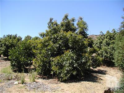 1 Hall Road Santa Paula, CA 93060 - Photo 2 of 13 Additional Photo