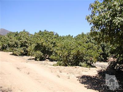 1 Hall Road Santa Paula, CA 93060 - Photo 12 of 13 Additional Photo