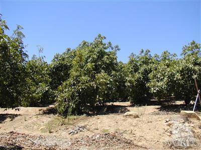 1 Hall Road Santa Paula, CA 93060 - Photo 13 of 13 Additional Photo