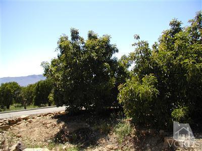 1 Hall Road Santa Paula, CA 93060 - Photo 3 of 13 Additional Photo