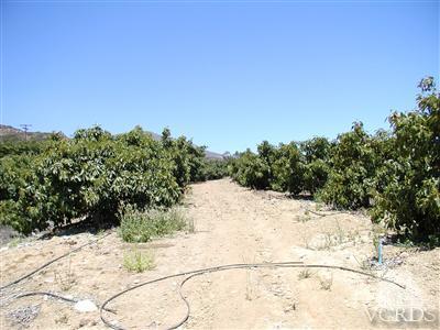 1 Hall Road Santa Paula, CA 93060 - Photo 4 of 13 Additional Photo