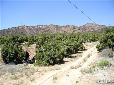 1 Hall Road Santa Paula, CA 93060 - Photo 5 of 13 Additional Photo