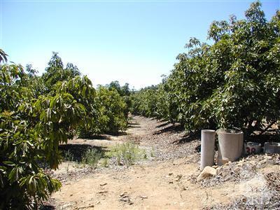 1 Hall Road Santa Paula, CA 93060 - Photo 8 of 13 Additional Photo